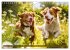 Bauernhof-Freunde - Hunde und ihre... - Bild 10