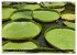 Mauritius Paradies im Indischen Ozean... - Bild 11