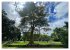 Mauritius Paradies im Indischen Ozean... - Bild 9