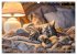 Katzen-Alltag - Ein witziges Jahr mit... - Bild 7