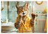 Katzen-Alltag - Ein witziges Jahr mit... - Bild 9