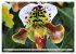 Beliebte Orchideen (hochwertiger... - Bild 10