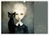 Die Katze - mein Freund (Wandkalender... - Bild 7