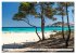 Spanien - Balearen - Mallorca... - Bild 11