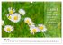 Lebensweisheiten, motivierende Sprüche... - Bild 11