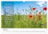 Lebensweisheiten, motivierende Sprüche... - Bild 12