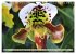 Beliebte Orchideen (Wandkalender 2026... - Bild 11