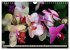 Beliebte Orchideen (Wandkalender 2026... - Bild 5