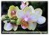 Beliebte Orchideen (Wandkalender 2026... - Bild 7