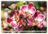 Beliebte Orchideen (Wandkalender 2026... - Bild 9