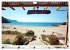 I love Greece (Wandkalender 2026 DIN A4... - Bild 3