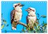 Der Kookaburra - Im australischen Busch... - Bild 11