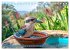 Der Kookaburra - Im australischen Busch... - Bild 12