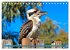 Der Kookaburra - Im australischen Busch... - Bild 13
