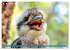 Der Kookaburra - Im australischen Busch... - Bild 14