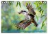 Der Kookaburra - Im australischen Busch... - Bild 9