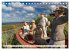 Deutschland - Insel Sylt (Tischkalender... - Bild 3