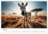 Baby-Tiere (Wandkalender 2026 DIN A3... - Bild 12