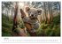 Baby-Tiere (Wandkalender 2026 DIN A3... - Bild 13