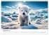 Baby-Tiere (Wandkalender 2026 DIN A3... - Bild 5