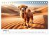 Baby-Tiere (Tischkalender 2026 DIN A5... - Bild 3