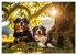 Bauernhof-Freunde - Hunde und ihre... - Bild 11