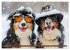 Bauernhof-Freunde - Hunde und ihre... - Bild 4
