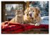 Bauernhof-Freunde - Hunde und ihre... - Bild 6
