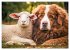 Bauernhof-Freunde - Hunde und ihre... - Bild 10