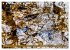 Bachwasser (Tischkalender 2026 DIN A5... - Bild 4