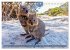 Big Five Australiens Buckelwal, Walhai,... - Bild 4