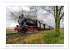 Museumsbahnen auf Tour (Wandkalender... - Bild 10