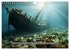 Am Grunde des Meeres (Wandkalender 2026... - Bild 11