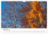 Bäume - Wunder der Natur (Wandkalender... - Bild 4