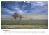 Bäume - Wunder der Natur (Wandkalender... - Bild 5