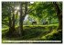 Großbritannien - England (Wandkalender... - Bild 14