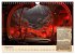 Reise unter dem Meer (Wandkalender 2026... - Bild 14