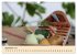 thailändische Küche (Wandkalender... - Bild 15