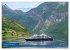 Kreuzfahrtschiffe unterwegs... - Bild 12