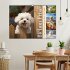 Bichon frisé, weiße Hündchen mit... - Bild 2