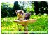 Pilz-Tiere (hochwertiger Premium... - Bild 11