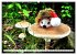 Pilz-Tiere (hochwertiger Premium... - Bild 4