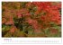 Japanischer Herbst und Laub... - Bild 2