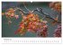 Japanischer Herbst und Laub... - Bild 7