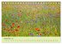 Wilde Blumen - ein Spaziergang durch... - Bild 15