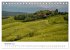 Grüne Farbtöne Toskana (Tischkalender... - Bild 5