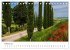 Grüne Farbtöne Toskana (Tischkalender... - Bild 8