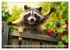 Wilde Nachbarn - Tierisches Treiben im... - Bild 11