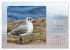 Mehr oder weniger Meer (hochwertiger... - Bild 2