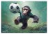Fußballfieber bei den Babyaffen... - Bild 15